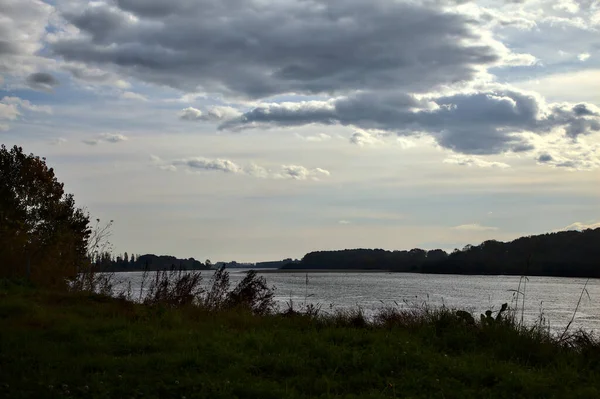 Восени Річка Похмурий День Облямована Деревами — стокове фото