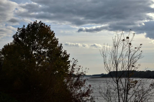 Rivier Een Bewolkte Dag Herfst Omlijst Door Bomen — Stockfoto