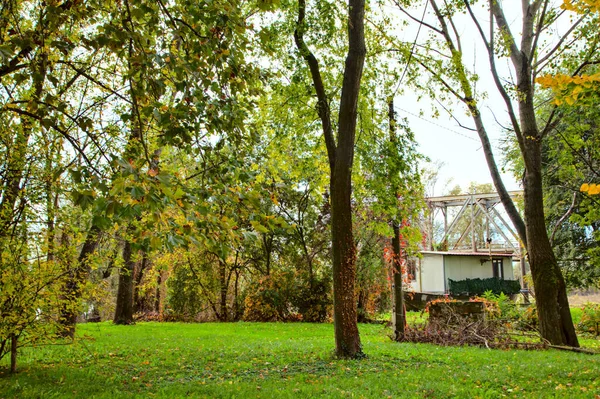 Árboles Con Hojas Amarillas Otoño Junto Río — Foto de Stock