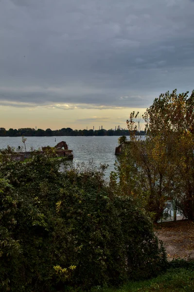 Rivière Vue Rivage Dessus Arbre Par Une Journée Nuageuse Automne — Photo