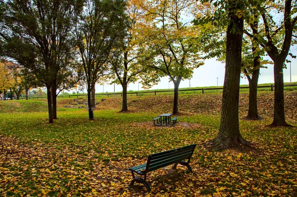 Скамейки Парке Города Осенью Облачный День — стоковое фото