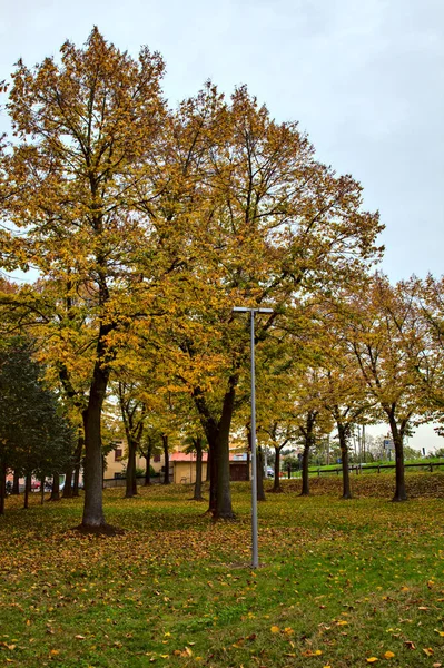 Park Městě Podzim Zamračený Den — Stock fotografie