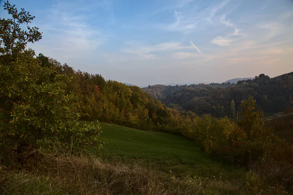 Foresta Autunno Una Collina Tramonto — Foto Stock