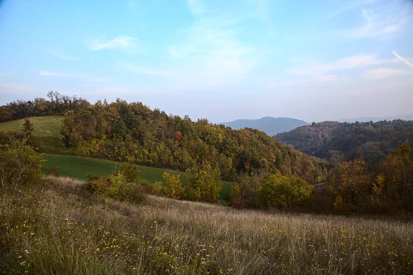 Wald Herbst Auf Einem Hügel Bei Sonnenuntergang — Stockfoto