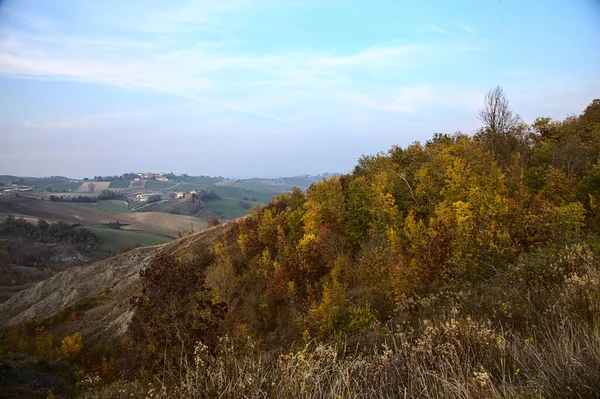 Wald Herbst Auf Einem Hügel Bei Sonnenuntergang — Stockfoto