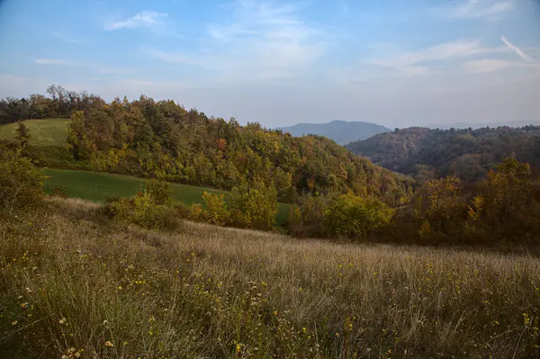 Wald Herbst Auf Einem Hügel Bei Sonnenuntergang — Stockfoto