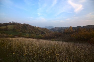 Sonbaharda günbatımında tepe yamacı