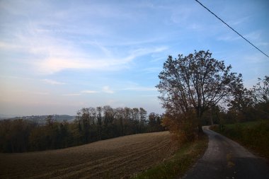 Sonbaharda gün batımında ekili bir tarlanın kenarındaki yol.
