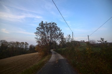 Sonbaharda gün batımında ekili bir tarlanın kenarındaki yol.