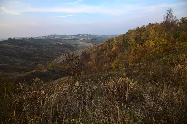 Wald Herbst Auf Einem Hügel Bei Sonnenuntergang — Stockfoto