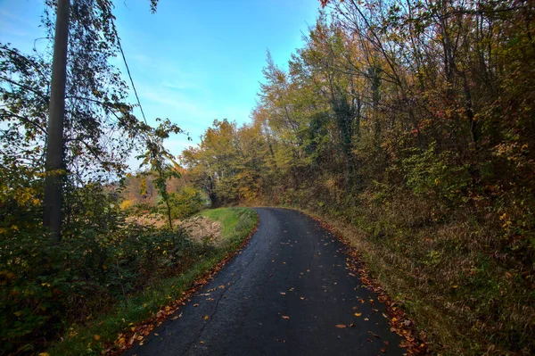 Camino Bosque Atardecer Otoño — Foto de Stock