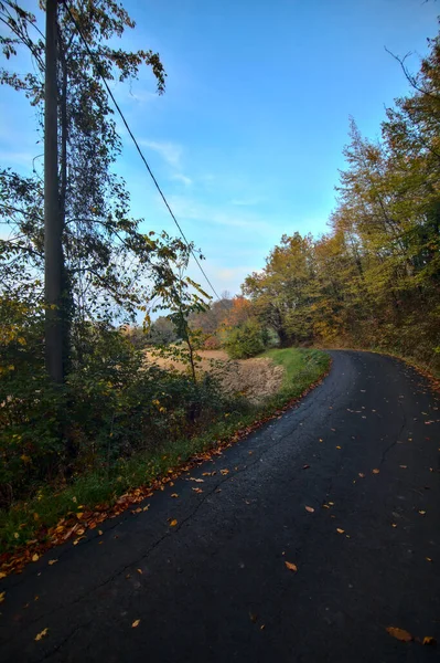 Дорога Роще Закате Осенью — стоковое фото
