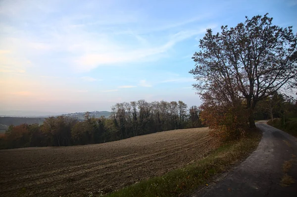 Straße Rande Eines Gepflügten Feldes Bei Sonnenuntergang Herbst — Stockfoto