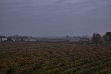 Sonbaharda bulutlu bir günde yukarıdan görünen üzüm bağları.