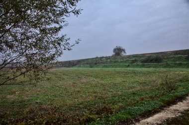 Sonbaharda bulutlu bir günde kırsalda bir patika