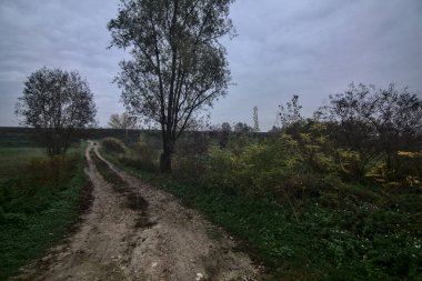 Sonbaharda bulutlu bir günde kırsalda bir patika