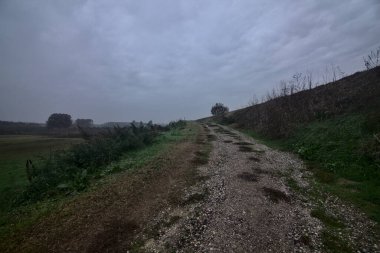 Sonbaharda bulutlu bir günde kırsalda bir patika