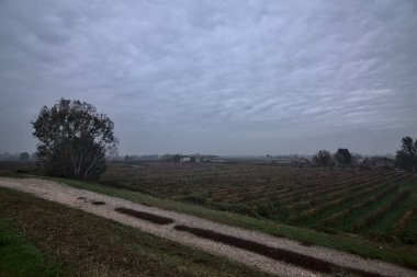 Sonbaharda bulutlu bir günde kırsalda bir patika