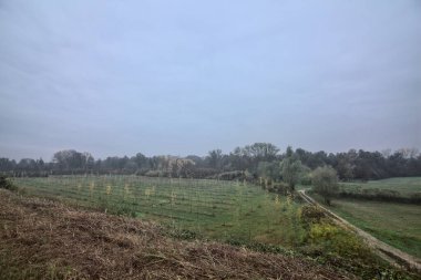 Kırsalda sonbaharda tarla