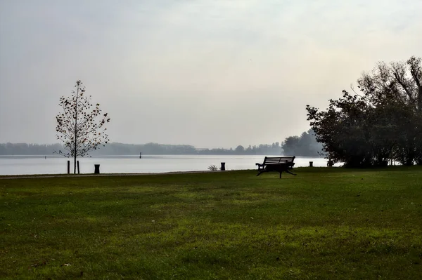 Pies Biegający Polu Nad Brzegiem Rzeki — Zdjęcie stockowe