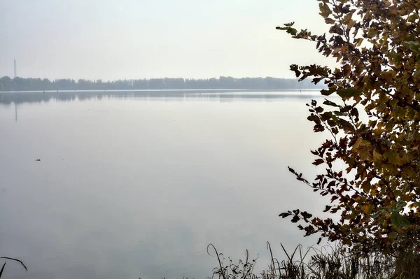 Sjön Och Avlägsen Strand Inramad Ett Träd — Stockfoto