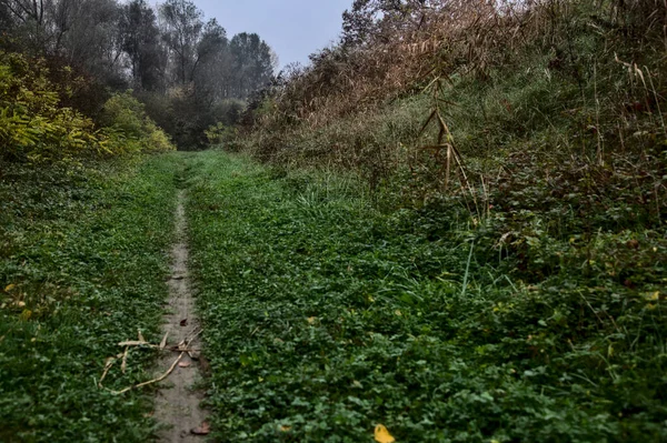 Sonbaharda Bulutlu Bir Günde Kırsalda Bir Patika — Stok fotoğraf