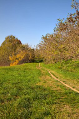 Sonbaharda kırsalda bir koruluğun kenarında küçük bir patika.