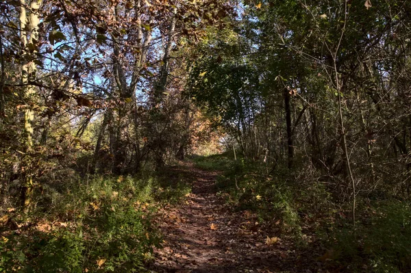 Ścieżka Parku Wsi Jesienią — Zdjęcie stockowe