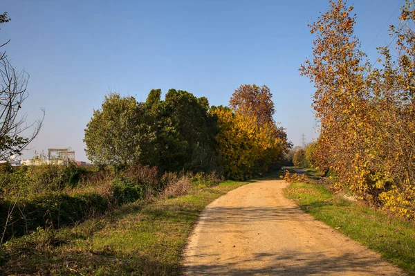 早上秋天的乡间小路 — 图库照片