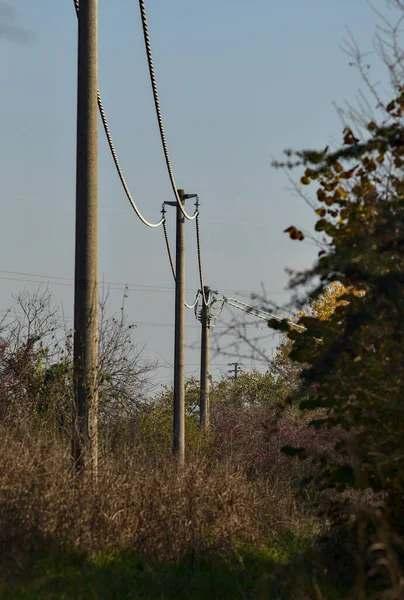 Pylons Eletricidade Bosque Campo — Fotografia de Stock