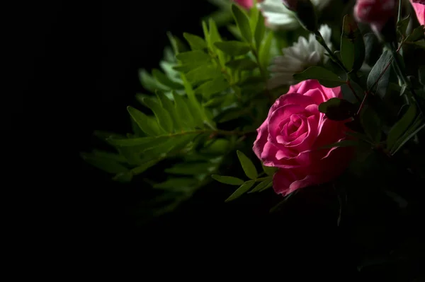 一束粉红色的康乃馨花 玫瑰上有白色的菊花 黑色背景上有粉红色的天疱疮 — 图库照片