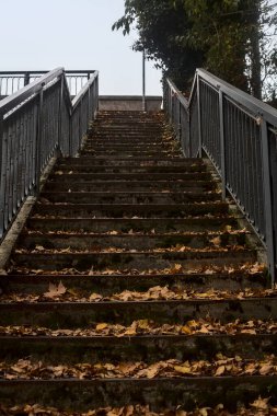 Sonbaharda bulutlu bir günde yapraklarla kaplı merdivenler.