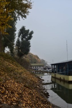 Sonbaharda bir nehrin kıyısında bulutlu bir günde