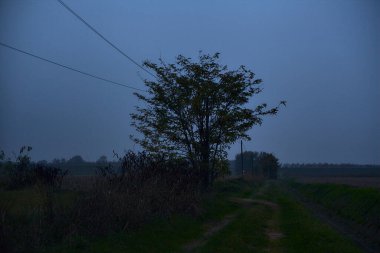 Sonbaharda gün batımında kırlarda çakıl patikası