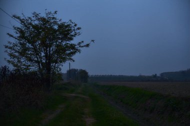 Sonbaharda gün batımında kırlarda çakıl patikası