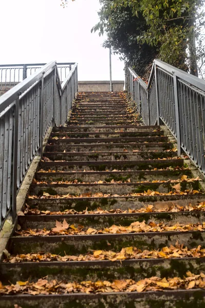 Лестница Покрыта Листьями Облачный День Осенью — стоковое фото