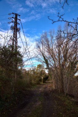 Sonbaharda parkta bir elektrik direği, patikanın yanında.