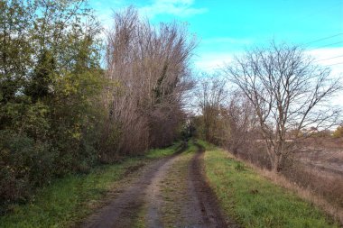 Sonbaharda kırsalda bir parkta çamurlu bir patika