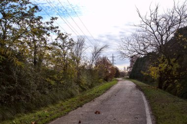 Sonbaharda kırlarda yol