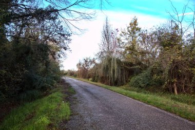 Sonbaharda kırlarda yol