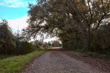 Sonbaharda kırlarda yol