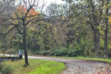 Sonbaharda kırlarda yol