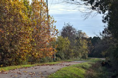 Sonbaharda kırlarda yol