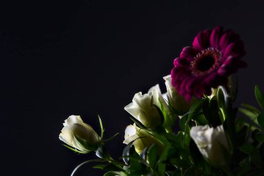 Beyaz güller, kasımpatılar, mor gerberalar ve siyah arka planda güller.