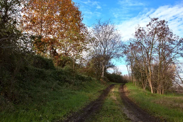 Muddy Camino Parque Campo Otoño — Foto de Stock