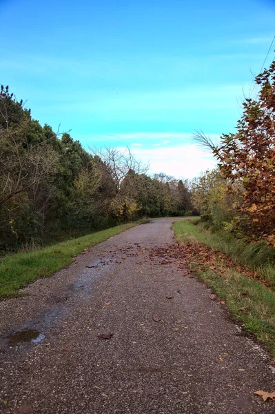 Straße Auf Dem Land Herbst — Stockfoto