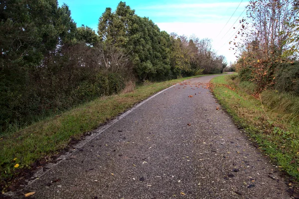 Camino Campo Otoño — Foto de Stock