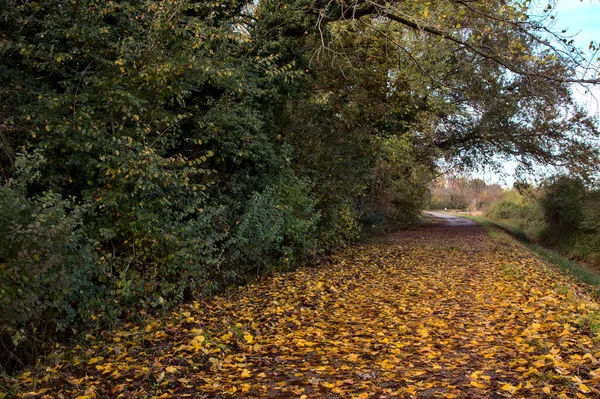 Road Countryside Autumn — Stock Photo, Image