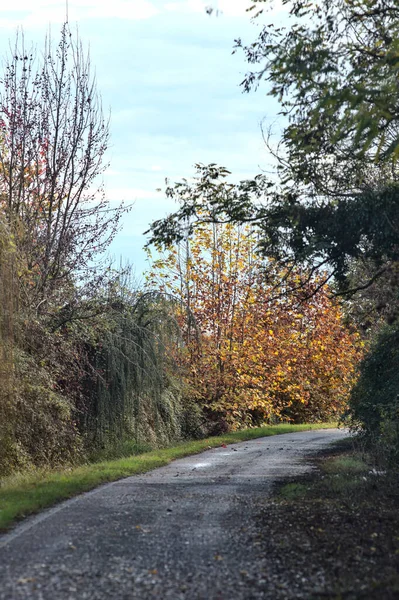 Route Campagne Automne — Photo