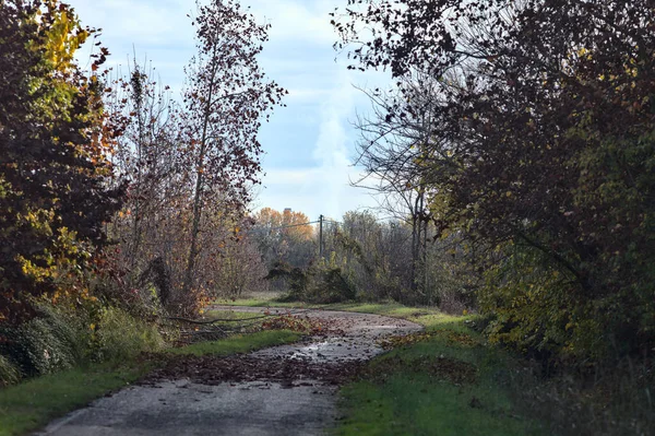 Sonbaharda Kırlarda Yol — Stok fotoğraf